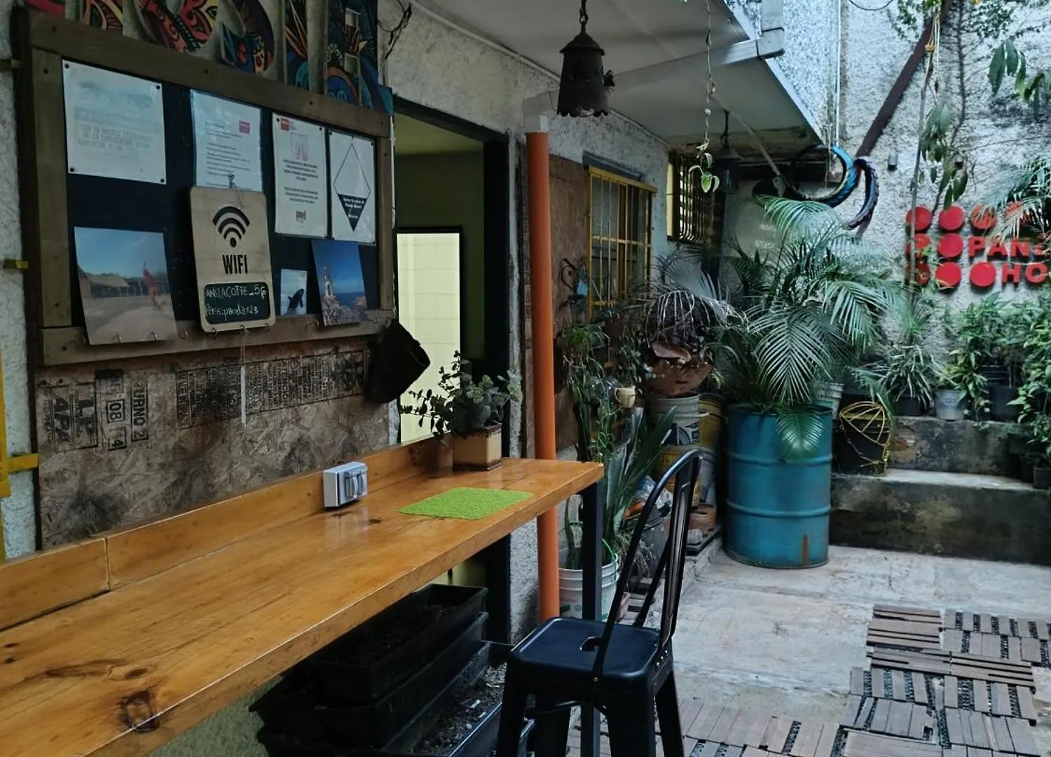 Canela Hostel Medellín Pensión