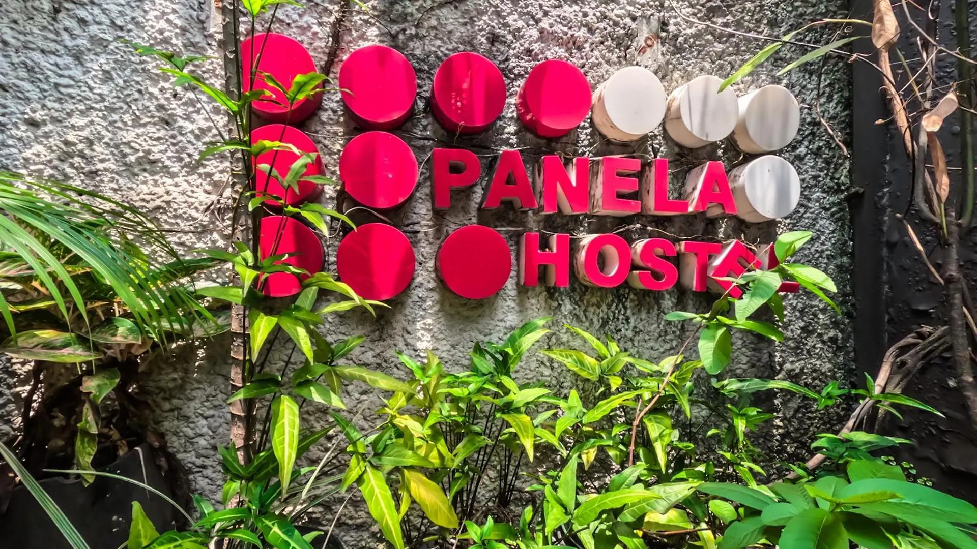 Canela Hostel Medellín Penzion